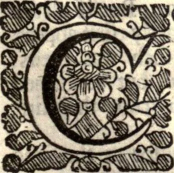 An illustration from The works of the learned Sr Thomas Brown, Kt., Doctor of Physick, late of Norwich. Containing I. Enquiries into vulgar and common errors. II. Religio medici: With annotations and observations upon it. III. Hydriotaphia; or, Vrn-Burial: Together with The garden of Cyrus. IV. Certain miscellany tracts. With alphabetical tables, 1686, leaf 252