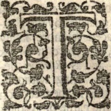 An illustration from The works of the learned Sr Thomas Brown, Kt., Doctor of Physick, late of Norwich. Containing I. Enquiries into vulgar and common errors. II. Religio medici: With annotations and observations upon it. III. Hydriotaphia; or, Vrn-Burial: Together with The garden of Cyrus. IV. Certain miscellany tracts. With alphabetical tables, 1686, leaf 304