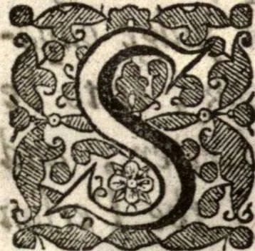 An illustration from The works of the learned Sr Thomas Brown, Kt., Doctor of Physick, late of Norwich. Containing I. Enquiries into vulgar and common errors. II. Religio medici: With annotations and observations upon it. III. Hydriotaphia; or, Vrn-Burial: Together with The garden of Cyrus. IV. Certain miscellany tracts. With alphabetical tables, 1686, leaf 356