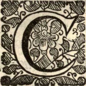 An illustration from The works of the learned Sr Thomas Brown, Kt., Doctor of Physick, late of Norwich. Containing I. Enquiries into vulgar and common errors. II. Religio medici: With annotations and observations upon it. III. Hydriotaphia; or, Vrn-Burial: Together with The garden of Cyrus. IV. Certain miscellany tracts. With alphabetical tables, 1686, leaf 362