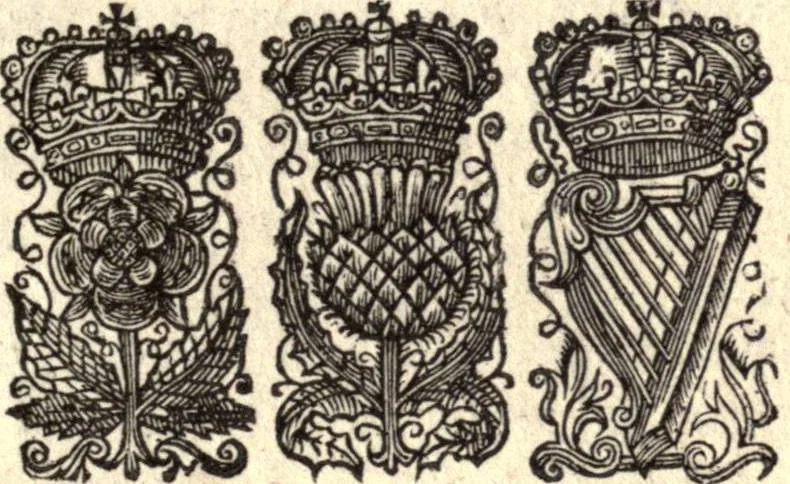 An illustration from The works of the learned Sr Thomas Brown, Kt., Doctor of Physick, late of Norwich. Containing I. Enquiries into vulgar and common errors. II. Religio medici: With annotations and observations upon it. III. Hydriotaphia; or, Vrn-Burial: Together with The garden of Cyrus. IV. Certain miscellany tracts. With alphabetical tables, 1686, leaf 412