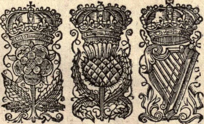 An illustration from The works of the learned Sr Thomas Brown, Kt., Doctor of Physick, late of Norwich. Containing I. Enquiries into vulgar and common errors. II. Religio medici: With annotations and observations upon it. III. Hydriotaphia; or, Vrn-Burial: Together with The garden of Cyrus. IV. Certain miscellany tracts. With alphabetical tables, 1686, leaf 468
