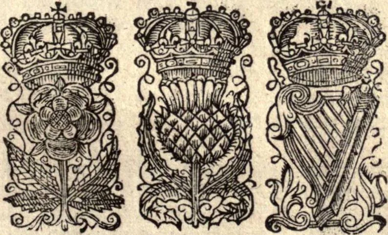 An illustration from The works of the learned Sr Thomas Brown, Kt., Doctor of Physick, late of Norwich. Containing I. Enquiries into vulgar and common errors. II. Religio medici: With annotations and observations upon it. III. Hydriotaphia; or, Vrn-Burial: Together with The garden of Cyrus. IV. Certain miscellany tracts. With alphabetical tables, 1686, leaf 498