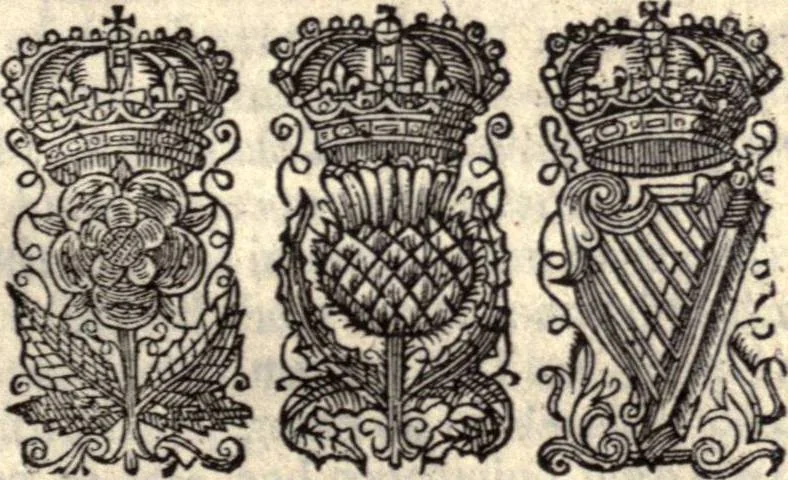 An illustration from The works of the learned Sr Thomas Brown, Kt., Doctor of Physick, late of Norwich. Containing I. Enquiries into vulgar and common errors. II. Religio medici: With annotations and observations upon it. III. Hydriotaphia; or, Vrn-Burial: Together with The garden of Cyrus. IV. Certain miscellany tracts. With alphabetical tables, 1686, leaf 528