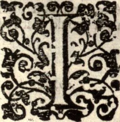 An illustration from The works of the learned Sr Thomas Brown, Kt., Doctor of Physick, late of Norwich. Containing I. Enquiries into vulgar and common errors. II. Religio medici: With annotations and observations upon it. III. Hydriotaphia; or, Vrn-Burial: Together with The garden of Cyrus. IV. Certain miscellany tracts. With alphabetical tables, 1686, leaf 564