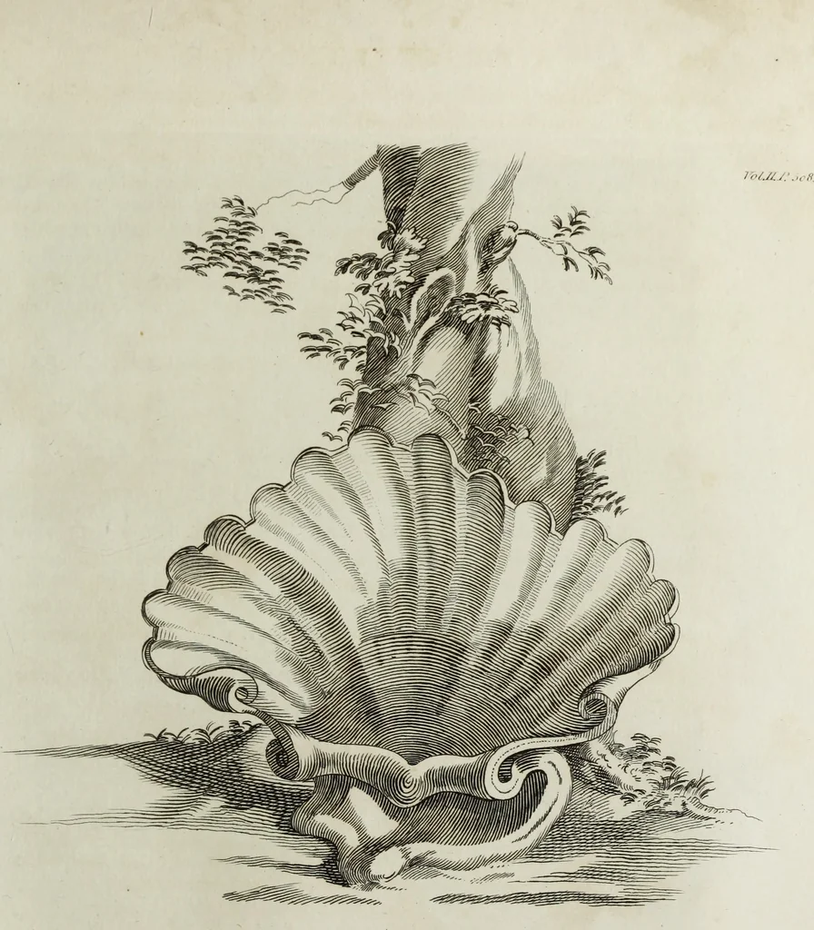 An illustration from The works of Horatio Walpole, earl of Orford, 1798, leaf 622