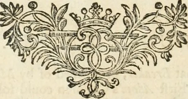 An illustration from The works of Jacob Behmen, the Teutonic theosopher : to which is prefixed, the life of the author, 1764, leaf 559