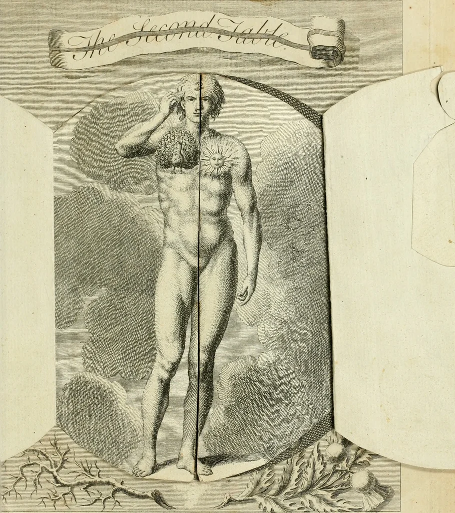 An illustration from The works of Jacob Behmen, the Teutonic theosopher : to which is prefixed, the life of the author, 1764, leaf 640