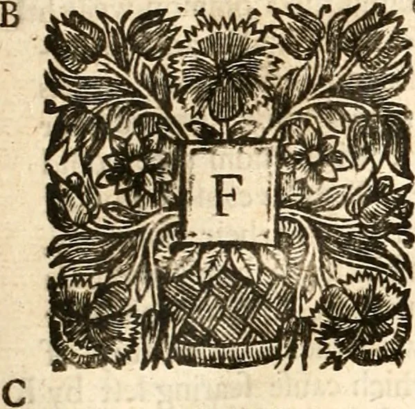 An illustration from The works of Josephus, 1683, leaf 20