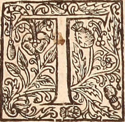An illustration from The works of King Charles the Martyr: : with a collection of declarations, treaties, and other papers concerning the differences between his said majesty and his two houses of Parliament, 1662, leaf 134
