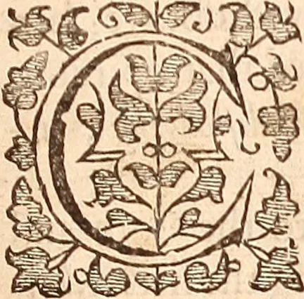 An illustration from The works of King Charles the Martyr: : with a collection of declarations, treaties, and other papers concerning the differences between his said majesty and his two houses of Parliament, 1662, leaf 14