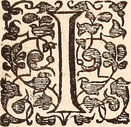 An illustration from The works of King Charles the Martyr: : with a collection of declarations, treaties, and other papers concerning the differences between his said majesty and his two houses of Parliament, 1662, leaf 286