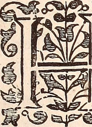 An illustration from The works of King Charles the Martyr: : with a collection of declarations, treaties, and other papers concerning the differences between his said majesty and his two houses of Parliament, 1662, leaf 332