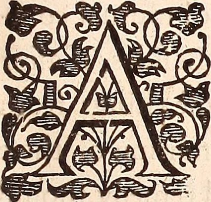 An illustration from The works of King Charles the Martyr: : with a collection of declarations, treaties, and other papers concerning the differences between his said majesty and his two houses of Parliament, 1662, leaf 410