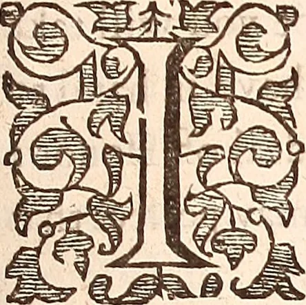 An illustration from The works of King Charles the Martyr: : with a collection of declarations, treaties, and other papers concerning the differences between his said majesty and his two houses of Parliament, 1662, leaf 486