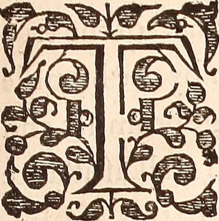 An illustration from The works of King Charles the Martyr: : with a collection of declarations, treaties, and other papers concerning the differences between his said majesty and his two houses of Parliament, 1662, leaf 598