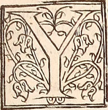 An illustration from The works of King Charles the Martyr: : with a collection of declarations, treaties, and other papers concerning the differences between his said majesty and his two houses of Parliament, 1662, leaf 650