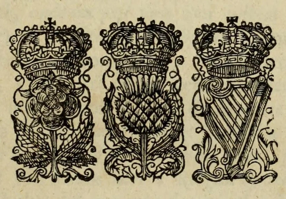 An illustration from The works of the learned Sr Thomas Brown, Kt. ... : Containing I. Enquiries into vulgar and common errors. II. Religio medici : with annotations and observations upon it. III. Hydriotaphia; or, Urn-burial : together with The garden of Cyrus. IV. Certain miscellany tracts. With alphabetical tables, 1686, leaf 411