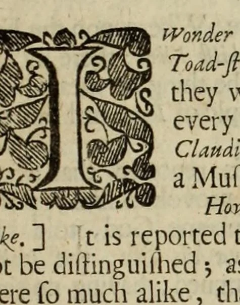 An illustration from The works of the learned Sr Thomas Brown, Kt. ... : Containing I. Enquiries into vulgar and common errors. II. Religio medici : with annotations and observations upon it. III. Hydriotaphia; or, Urn-burial : together with The garden of Cyrus. IV. Certain miscellany tracts. With alphabetical tables, 1686, leaf 441