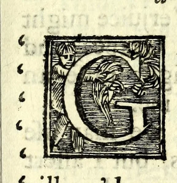An illustration from The works of the most illustrious and pious Armand de Bourbon, prince of Conti : with a short account of his life : collected and translated from the French : to which are added some other pieces, and a discourse of Christian perfection, by the Archbishop of Cambray, never before published, 1711, leaf 499