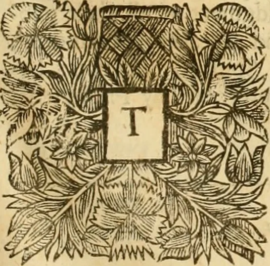 An illustration from The works of Mr. Richard Hooker, (that Learned and Judicious Divine) : in eight books of ecclesiastical polity .., 1666, leaf 418