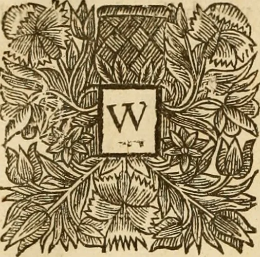 An illustration from The works of Mr. Richard Hooker, (that Learned and Judicious Divine) : in eight books of ecclesiastical polity .., 1666, leaf 603