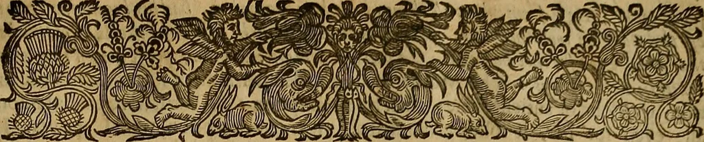 An illustration from The works of Mr. Richard Hooker, (that learned and judicious divine) : in eight books of ecclesiastical polity, compleated out of his own manuscrips; never before published. With an account of his life and death .., 1666, leaf 602