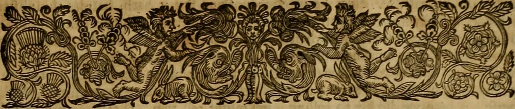 An illustration from The works of Mr. Richard Hooker, (that learned and judicious divine) : in eight books of ecclesiastical polity, compleated out of his own manuscrips; never before published. With an account of his life and death .., 1666, leaf 628