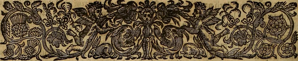 An illustration from The works of Mr. Richard Hooker, (that learned and judicious divine) : in eight books of ecclesiastical polity, compleated out of his own manuscrips; never before published. With an account of his life and death .., 1666, leaf 635