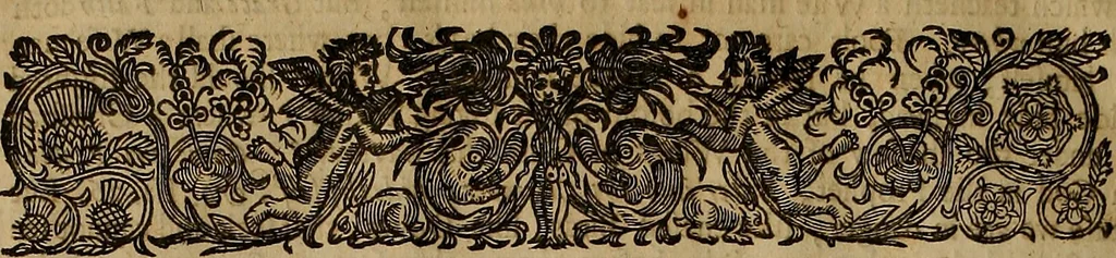 An illustration from The works of Mr. Richard Hooker, (that learned and judicious divine) : in eight books of ecclesiastical polity, compleated out of his own manuscrips; never before published. With an account of his life and death .., 1666, leaf 641