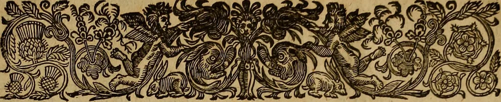 An illustration from The works of Mr. Richard Hooker, (that learned and judicious divine) : in eight books of ecclesiastical polity, compleated out of his own manuscrips; never before published. With an account of his life and death .., 1666, leaf 650
