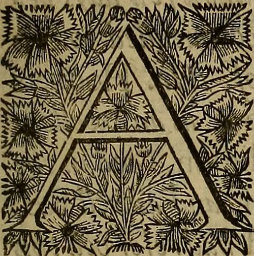 An illustration from The works of Mr. Richard Hooker, (that learned and judicious divine) : in eight books of ecclesiastical polity, compleated out of his own manuscrips; never before published. With an account of his life and death .., 1666, leaf 8