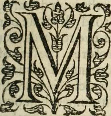 An illustration from The works of ... vindicating the church of England, as truly christian, and duly reformed: in eight books of ecclesiastical polity. Now compleated, as with the sixth and eighth, so with the seventh, (touching episcopacy, as the primitive, catholick and apostolick government of the church) out of his own manuscripts, never before published. With an account of his holy life, and happy death, 1662, leaf 54
