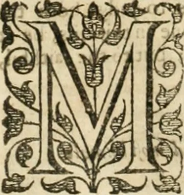 An illustration from The works of ... vindicating the church of England, as truly christian, and duly reformed: in eight books of ecclesiastical polity. Now compleated, as with the sixth and eighth, so with the seventh, (touching episcopacy, as the primitive, catholick and apostolick government of the church) out of his own manuscripts, never before published. With an account of his holy life, and happy death, 1662, leaf 599