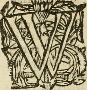 An illustration from The works of ... vindicating the church of England, as truly christian, and duly reformed: in eight books of ecclesiastical polity. Now compleated, as with the sixth and eighth, so with the seventh, (touching episcopacy, as the primitive, catholick and apostolick government of the church) out of his own manuscripts, never before published. With an account of his holy life, and happy death, 1662, leaf 611