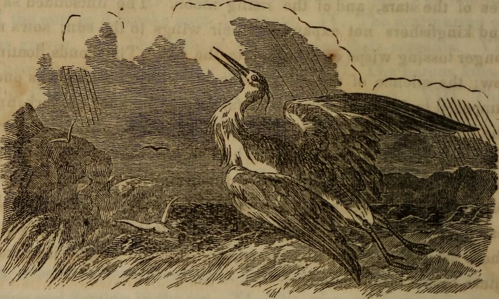 An illustration from The world:, 1848, leaf 121