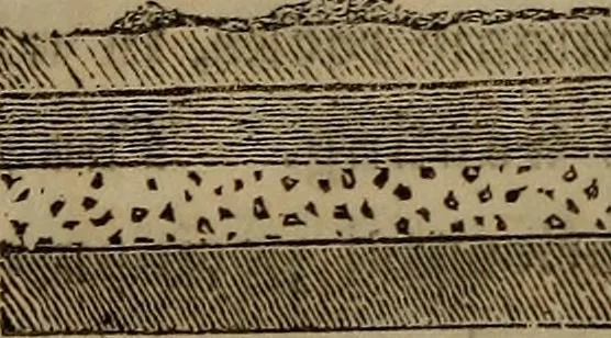 An illustration from The world:, 1848, leaf 187