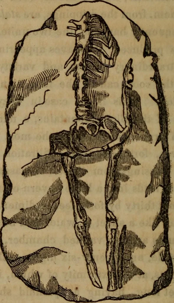 An illustration from The world:, 1848, leaf 215