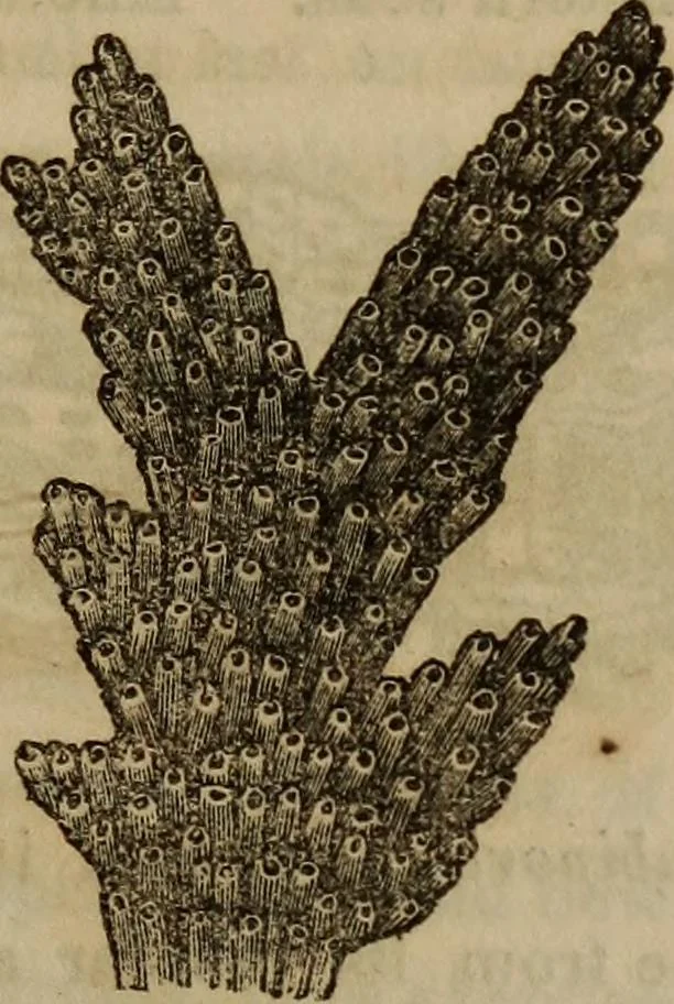 An illustration from The world:, 1848, leaf 286