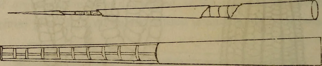 An illustration from The world:, 1848, leaf 309