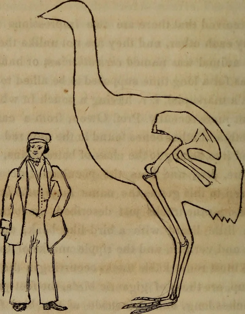 An illustration from The world:, 1848, leaf 315