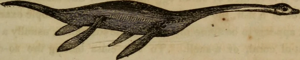 An illustration from The world:, 1848, leaf 316