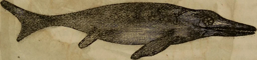 An illustration from The world:, 1848, leaf 316