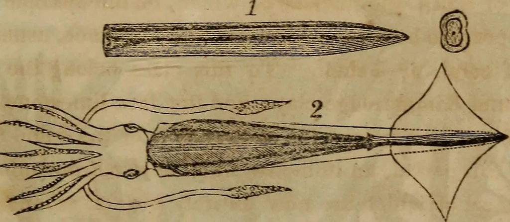 An illustration from The world:, 1848, leaf 318