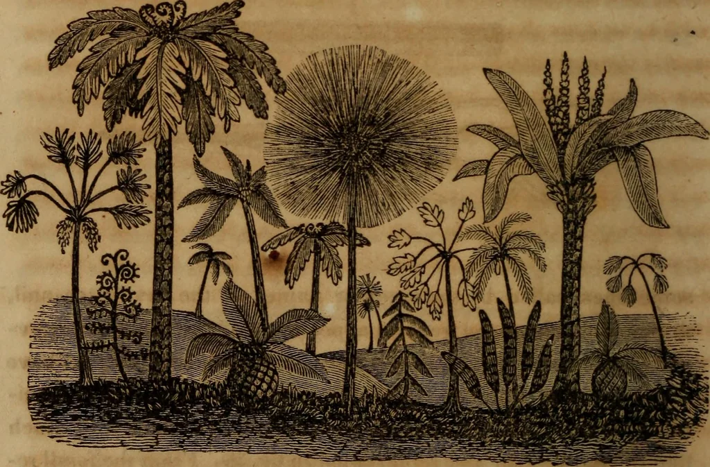 An illustration from The world:, 1848, leaf 319