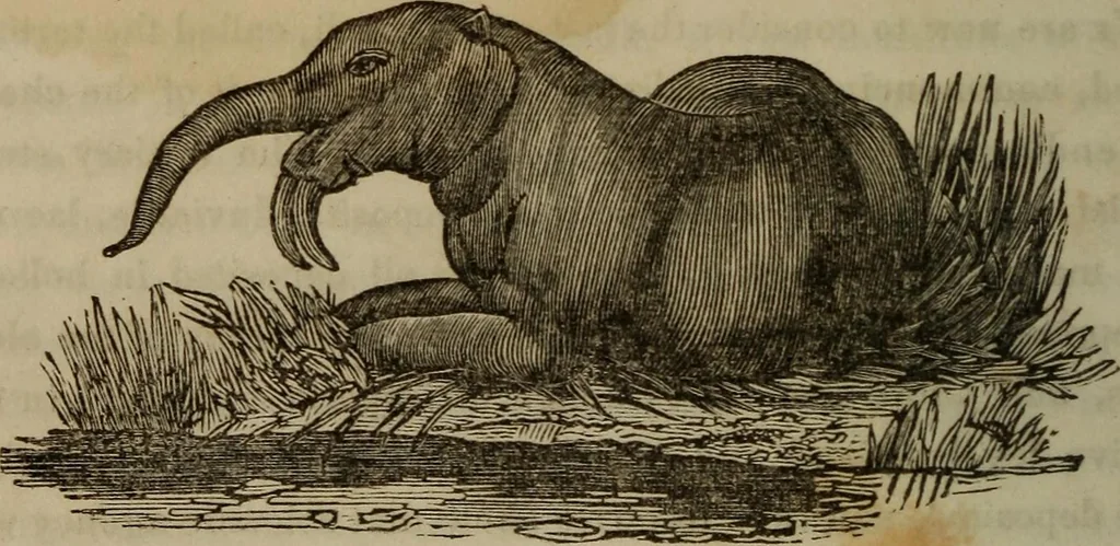 An illustration from The world:, 1848, leaf 323