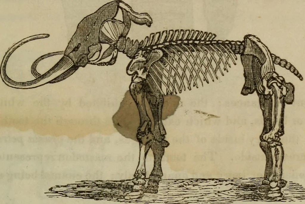 An illustration from The world:, 1848, leaf 324