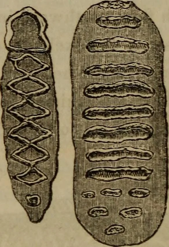 An illustration from The world:, 1848, leaf 325