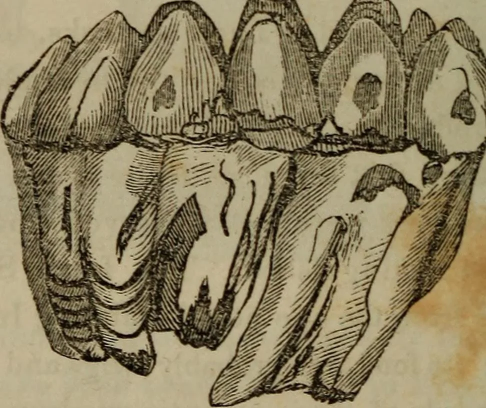 An illustration from The world:, 1848, leaf 325