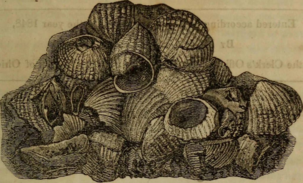 An illustration from The world:, 1848, leaf 6